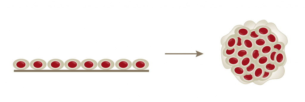 3D Cell Culture Kits