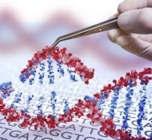 CAS9 ELISA