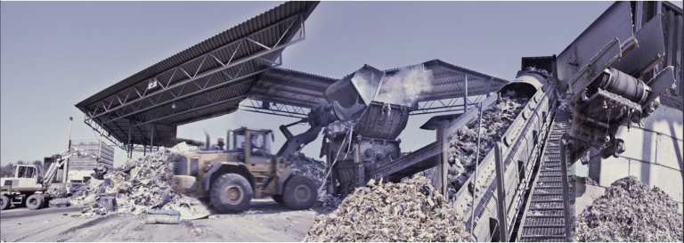 Banksia case study 08 picture